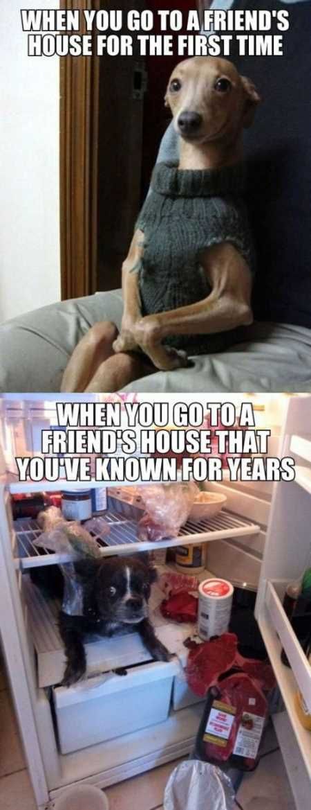 Funny Pictures Youre Going To Love 010