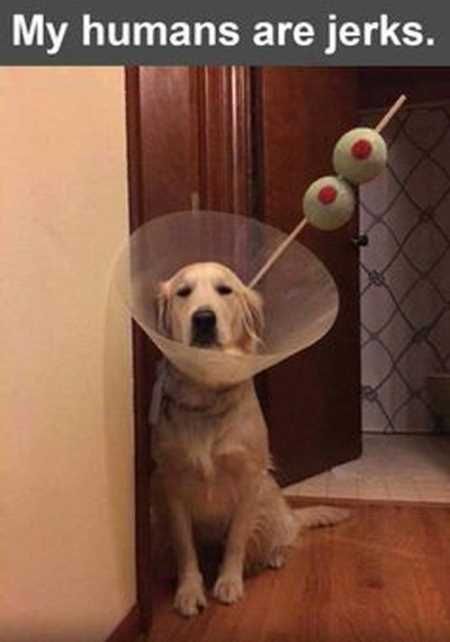 Funny Pictures Youre Going To Love 019
