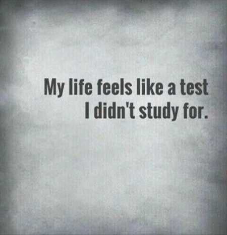 Funny Quotes Youre Going To Love 017