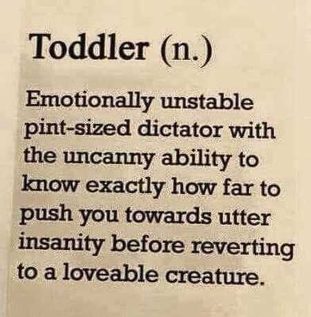 Funny Quotes Youre Going To Love 033
