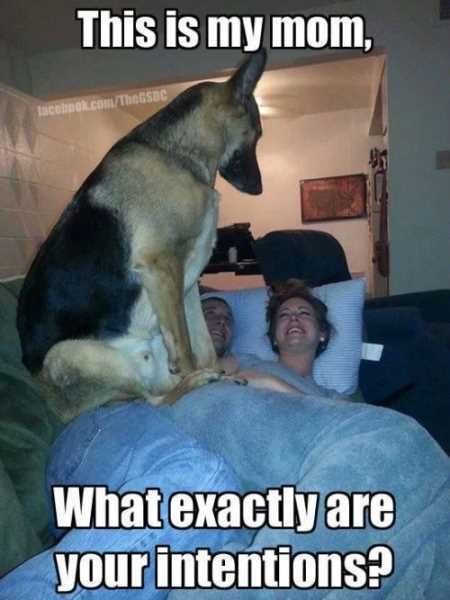 Hilarious Animal Pictures 010