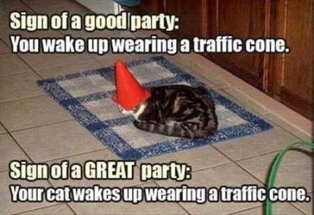 Hilarious Animal Pictures 011
