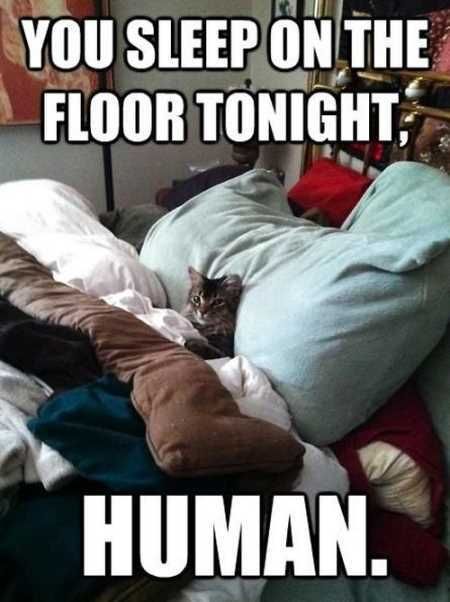 Hilarious Animal Pictures 020