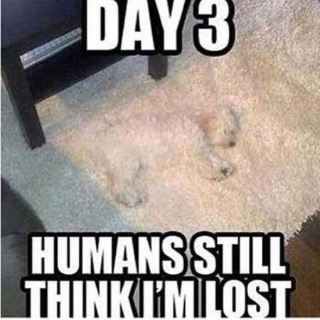 Hilarious Animal Pictures 033