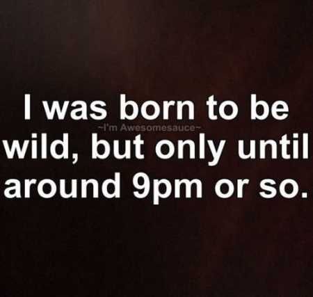 Funniest Lines Ever