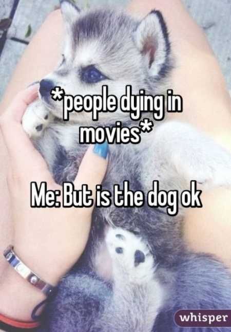The Best Funny Pictures 032