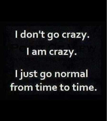 The Funniest Quotes You Will See All Day 012