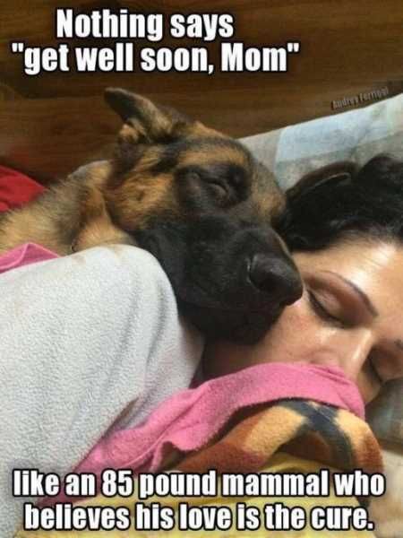 Very Funny Animal Pictures 002