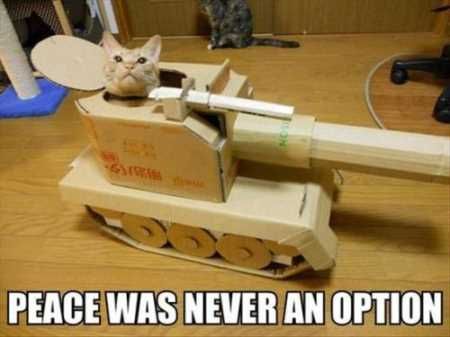 Very Funny Animal Pictures 018