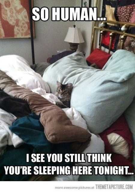 Very Funny Animal Pictures 024
