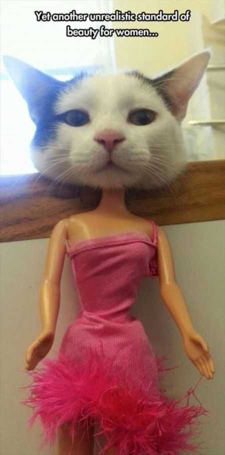 Very Funny Animal Pictures 035