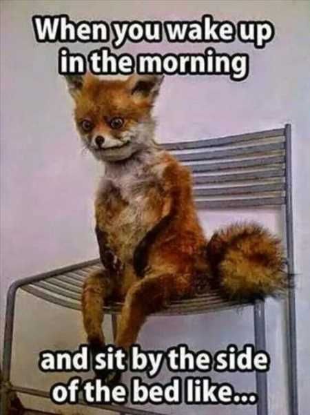 Very Funny Pictures You Will Enjoy 004