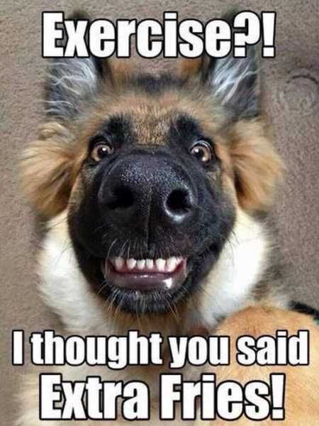 Very Funny Pictures You Will Enjoy 012