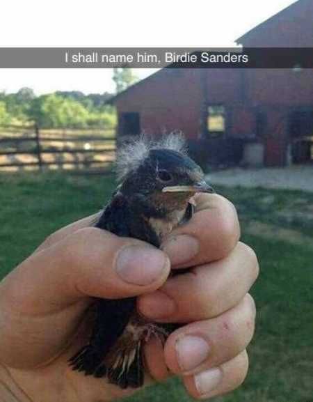 Very Funny Pictures You Will Enjoy 013