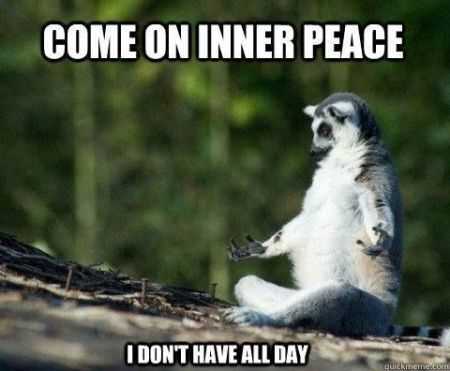 39 Super Hilarious Pictures 015