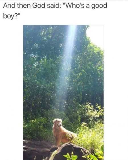 39 Super Hilarious Pictures 023