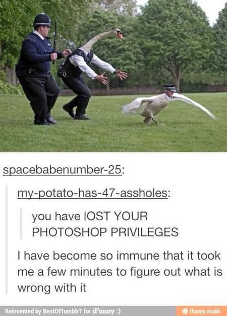 39 Super Hilarious Pictures 024