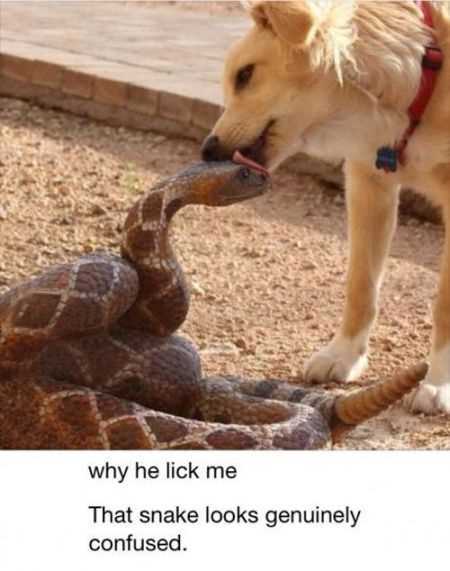 39 Super Hilarious Pictures 027