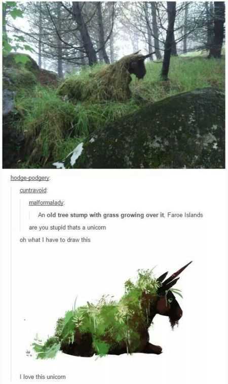 39 Super Hilarious Pictures 030