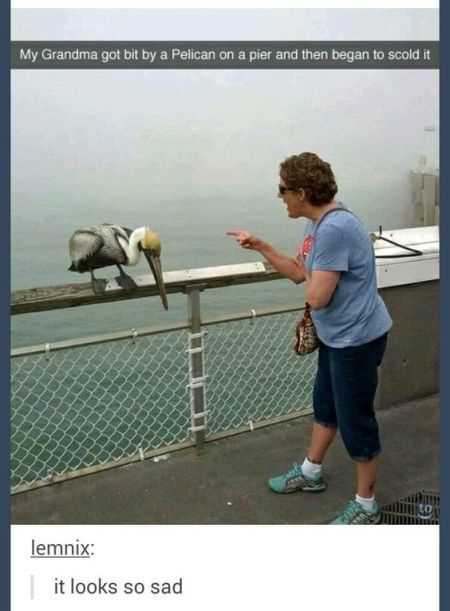 39 Super Hilarious Pictures 037