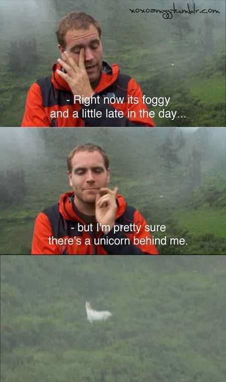39 Super Hilarious Pictures 039