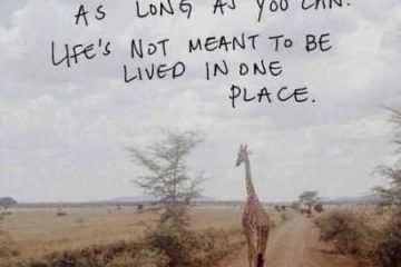 Best Inspirational Quotes Ever 028