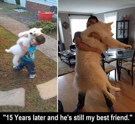 Funniest Animal Pics Ever 017