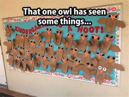Funniest Pics Ever 011