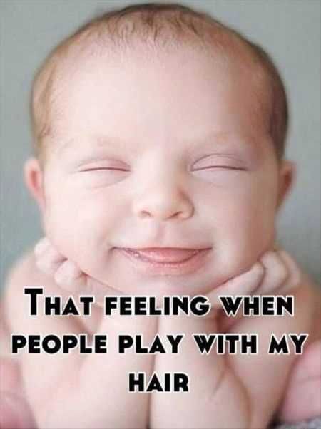 Funniest Pics Ever 013