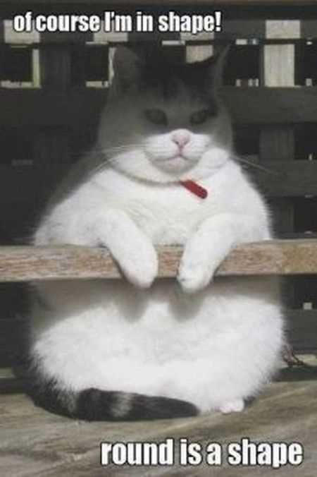Funniest Pics Ever 022