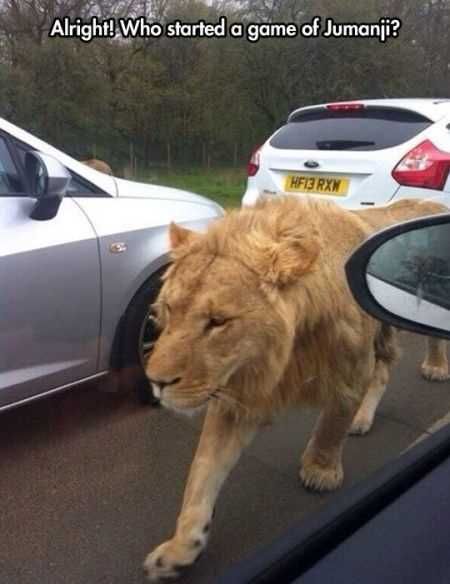Funniest Pics Ever 023