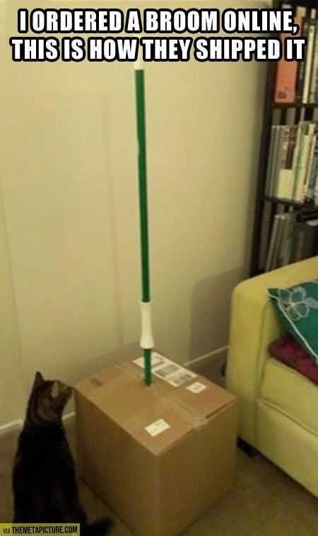 Funniest Pics Ever 029