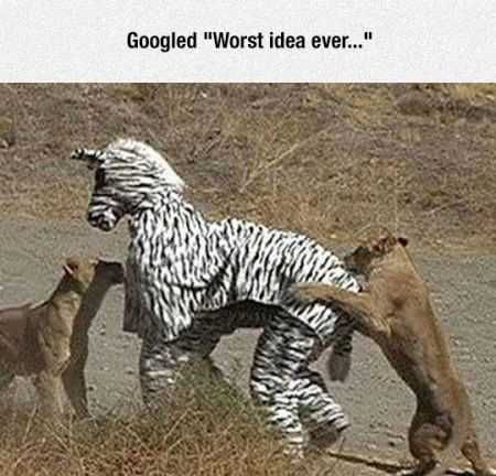 Funniest Pics Ever 033