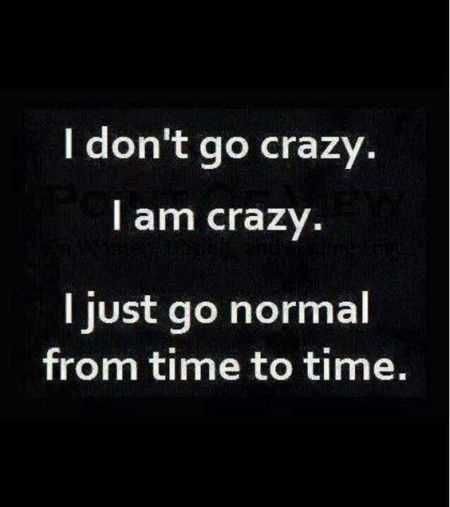 Funniest Quotes Ever 009