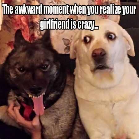 Funny Animal Pictures That Will Make Your Day 004