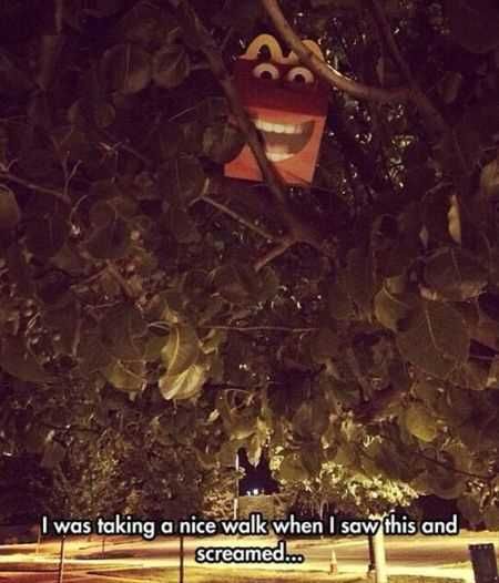 A Funny Picture With A Mcdonald'S Happy Meal Box Stuck In A Tree