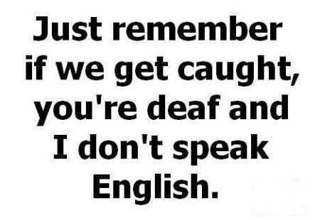 Funny Quotes That Will Make Your Day 034