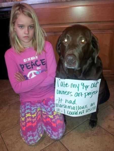 Great Funny Animals Pictures 0019