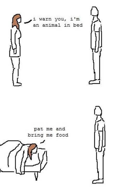 Great Funny Pictures 0005