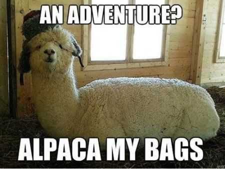 Great Funny Pictures 0008