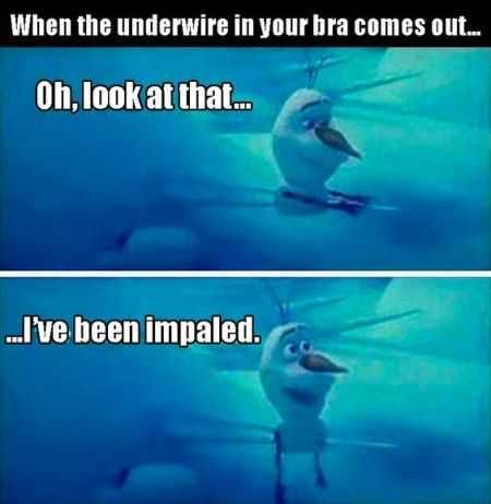 Great Funny Pictures 0016