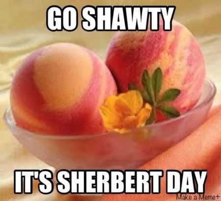 Great Funny Pictures 0018
