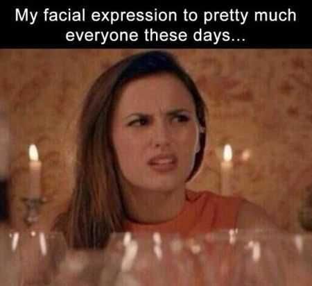 Great Funny Pictures 0020