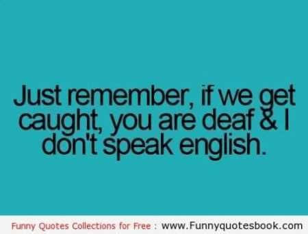 Great Funny Quotes 0005