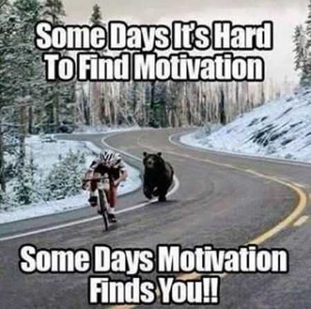 Great Funny Quotes 0020