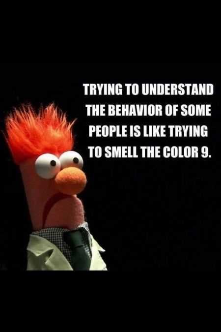 Great Funny Quotes 0023