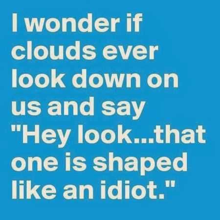 Great Funny Quotes 0030