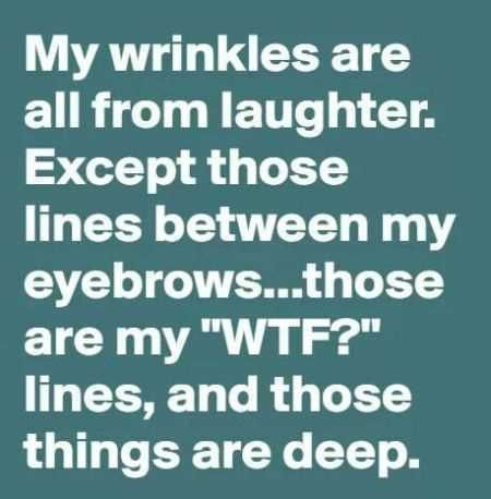 Hilarious Quotes 037