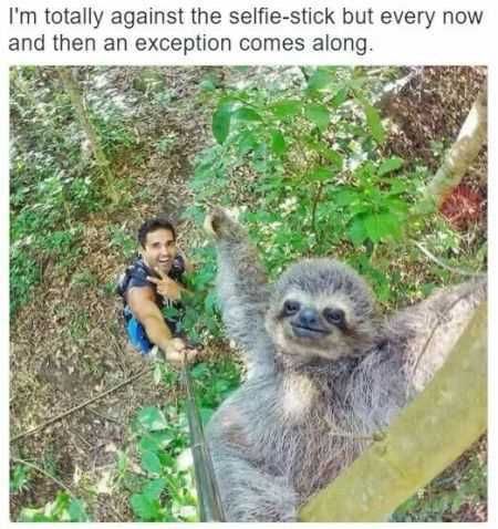Super Funny Animal Pics 014