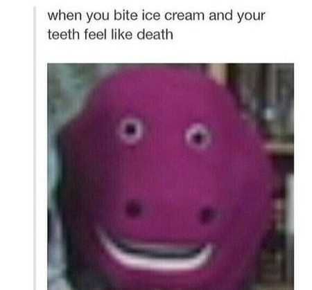New Funny Pictures Youre Going To Love 2001